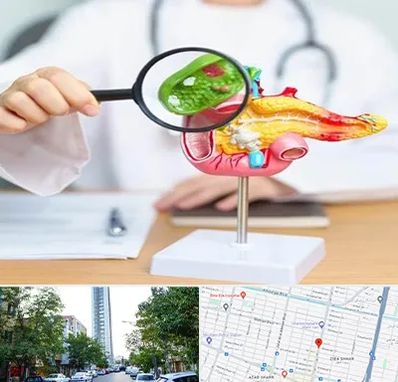 جراح سرطان پانکراس در امامت مشهد 