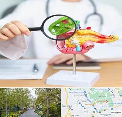 جراح سرطان پانکراس در قدوسی غربی شیراز 