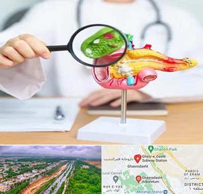 جراح سرطان پانکراس در قصرالدشت شیراز 