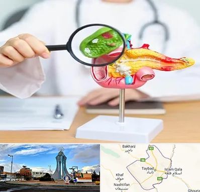 جراح سرطان پانکراس در تایباد