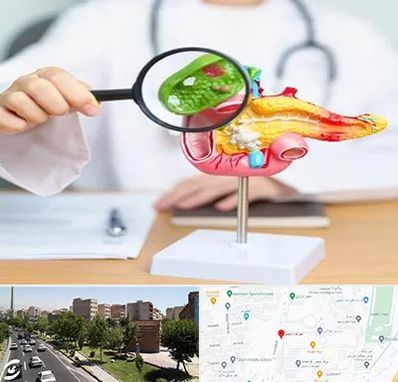 جراح سرطان پانکراس در شهرک آزمایش 