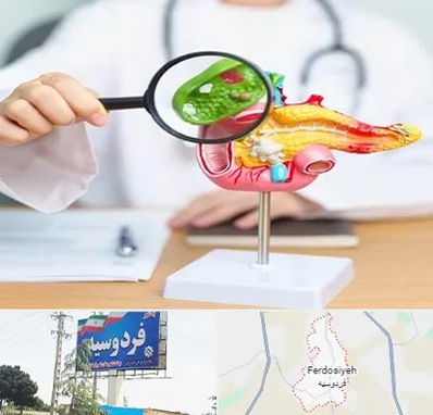 جراح سرطان پانکراس در فردوسیه شهریار