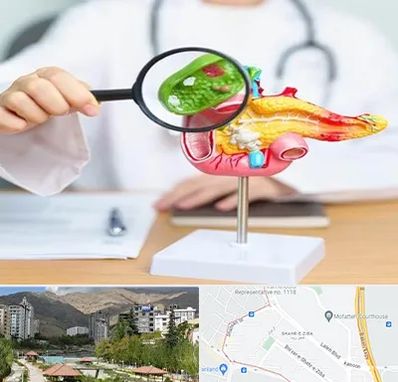 جراح سرطان پانکراس در شهر زیبا