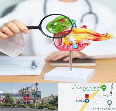 جراح سرطان پانکراس در هروی 