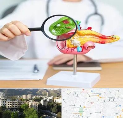 جراح سرطان پانکراس در دیباجی