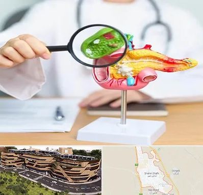 جراح سرطان پانکراس در شاهین شهر
