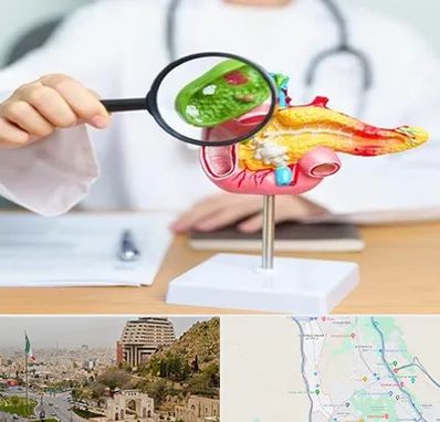 جراح سرطان پانکراس در فرهنگ شهر شیراز 