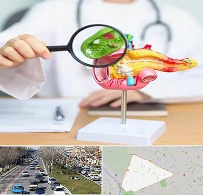 جراح سرطان پانکراس در احمدآباد مشهد 