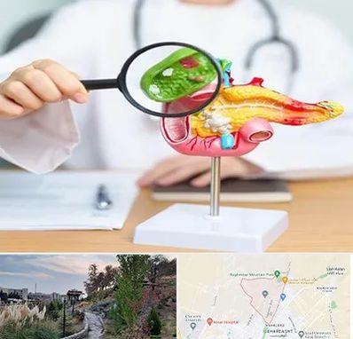 جراح سرطان پانکراس در باغستان کرج 