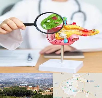 جراح سرطان پانکراس در بیرجند