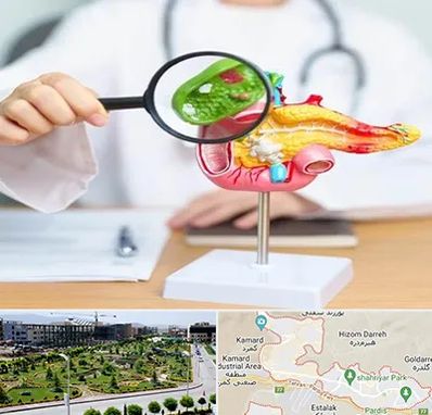 جراح سرطان پانکراس در پردیس