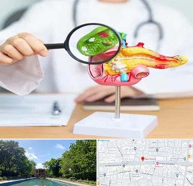 جراح سرطان پانکراس در هشت بهشت اصفهان 