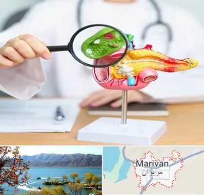 جراح سرطان پانکراس در مریوان