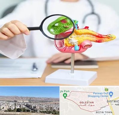 جراح سرطان پانکراس در شهرک گلستان شیراز 