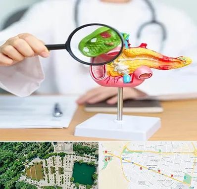جراح سرطان پانکراس در وکیل آباد مشهد 