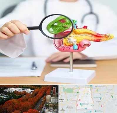 جراح سرطان پانکراس در منطقه 6 تهران 