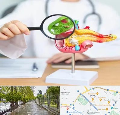 جراح سرطان پانکراس در خیابان ارم شیراز 