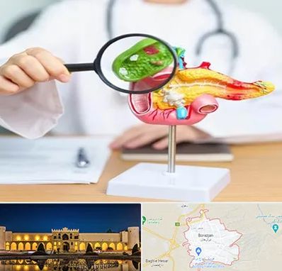 جراح سرطان پانکراس در برازجان