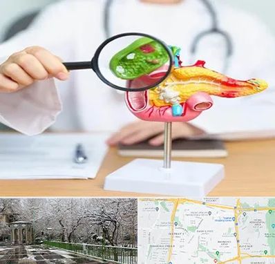 جراح سرطان پانکراس در باغ فیض