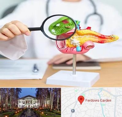 جراح سرطان پانکراس در باغ فردوس