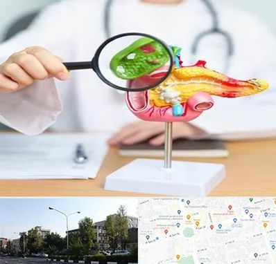جراح سرطان پانکراس در میدان کاج