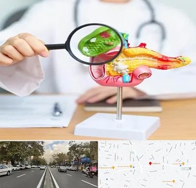 جراح سرطان پانکراس در دولت