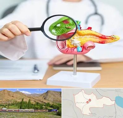 جراح سرطان پانکراس در خاش