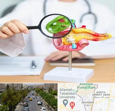 جراح سرطان پانکراس در شهران 