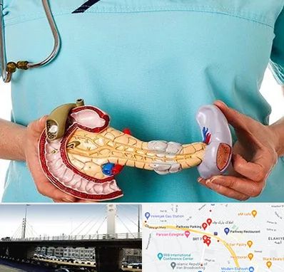 جراح سرطان لوزالمعده در پارک وی 