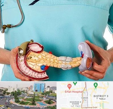 جراح سرطان لوزالمعده در ونک 