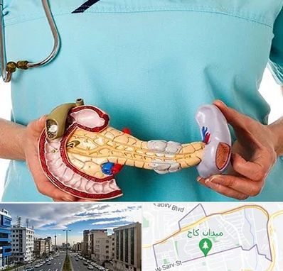 جراح سرطان لوزالمعده در سعادت آباد 