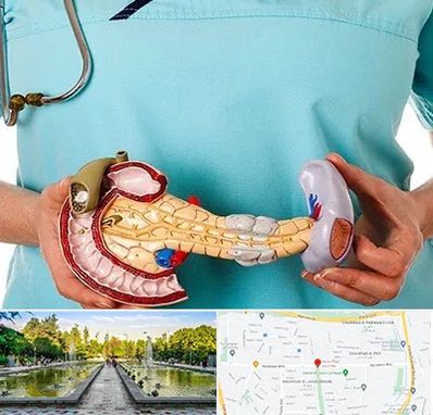 جراح سرطان لوزالمعده در سرسبز 