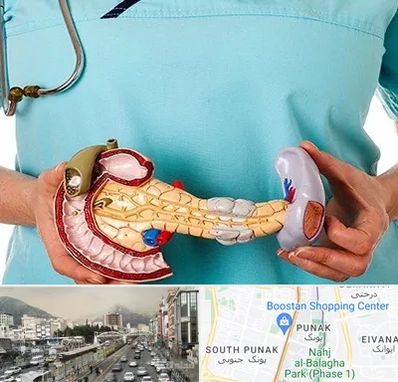 جراح سرطان لوزالمعده در پونک 