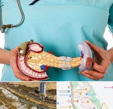 جراح سرطان لوزالمعده در خیابان نیایش شیراز 