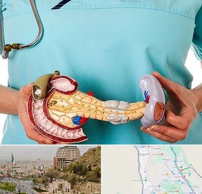 جراح سرطان لوزالمعده در فرهنگ شهر شیراز 