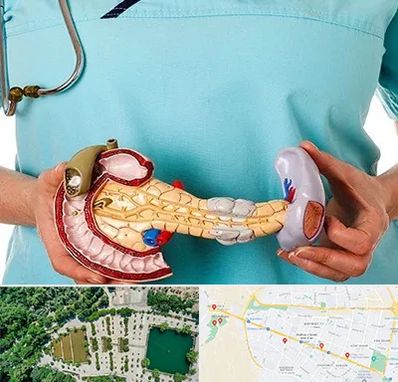 جراح سرطان لوزالمعده در وکیل آباد مشهد 