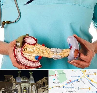 جراح سرطان لوزالمعده در زرگری شیراز 