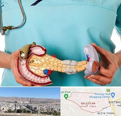 جراح سرطان لوزالمعده در شهرک گلستان شیراز 