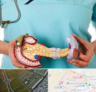 جراح سرطان لوزالمعده در الهیه مشهد 