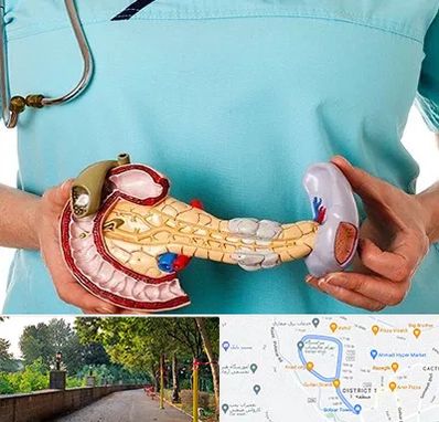 جراح سرطان لوزالمعده در بلوار گیلان رشت 