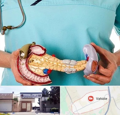 جراح سرطان لوزالمعده در وحیدیه شهریار