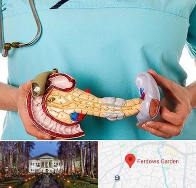 جراح سرطان لوزالمعده در باغ فردوس