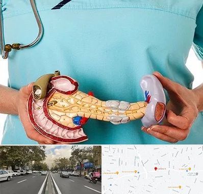 جراح سرطان لوزالمعده در دولت 