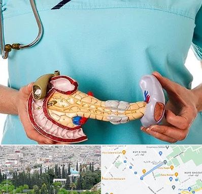 جراح سرطان لوزالمعده در محلاتی شیراز 