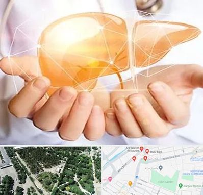 دکتر سرطان کبد در سالاریه قم