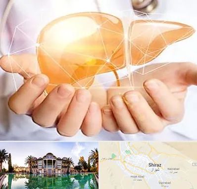 دکتر سرطان کبد در شیراز