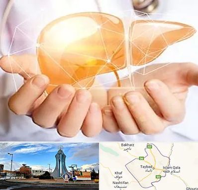 دکتر سرطان کبد در تایباد