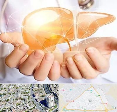 دکتر سرطان کبد در قاسم آباد مشهد 