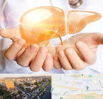 دکتر سرطان کبد در تهرانپارس 
