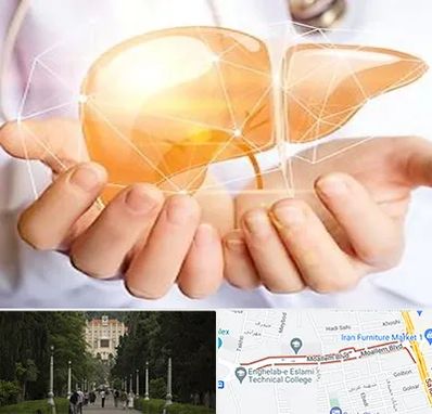 دکتر سرطان کبد در بلوار معلم رشت 